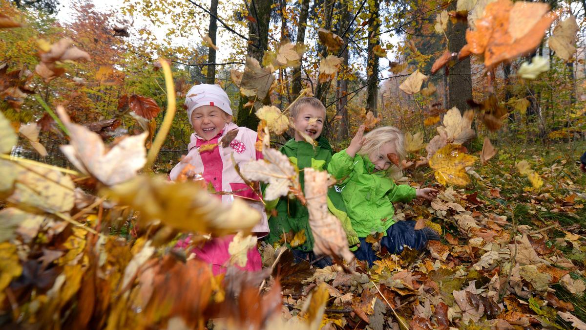 Im Waldkindergarten Maria Saal passiert der Großteil des Tages draußen – im Wald