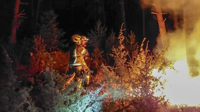 Waldbrand in Tirol