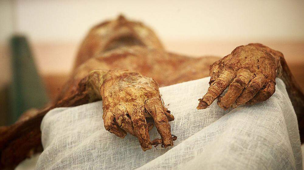Insgesamt soll man 42 Mumien im Dom gefunden haben