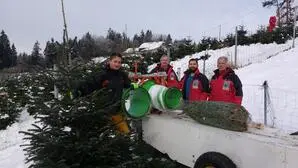 Vier Männer stehen hinter einem frisch geschnittenen Christbaum mitten im Schnee | Bei Michael Haberl hilft die gesamte Familie mit