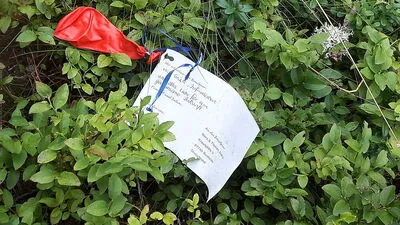 Statt Schwammerl fand ein St. Veiter Ehepaar einen Hochzeits-Ballon, der 350 Kilometer weit gereist war