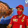 Vettel bei der Pressekonferenz