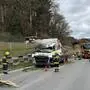Ein Baum traf den fahrenden Lkw