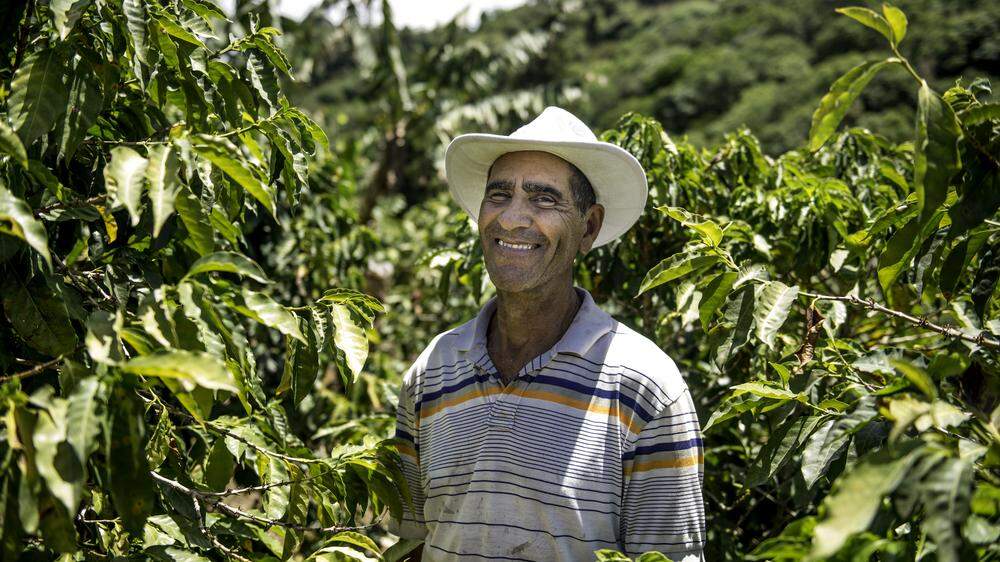 Mit dem Versicherungsprogramm „Café Seguro“ werden Kaffeefarmer:innen gegen Wetterextreme und damit einhergehende Ernteausfälle versichert