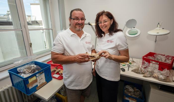Alfred Galik und Martina Pacher von der Österreichischen Akademie der Wissenschaften analysierten die tierischen Funde