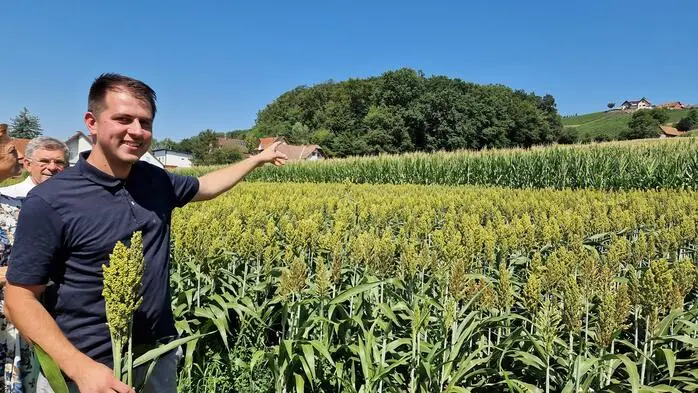 Raphael Kaufmann auf dem Acker mit Hirse und Mais, den er seit zwei Jahren gepachtet hat