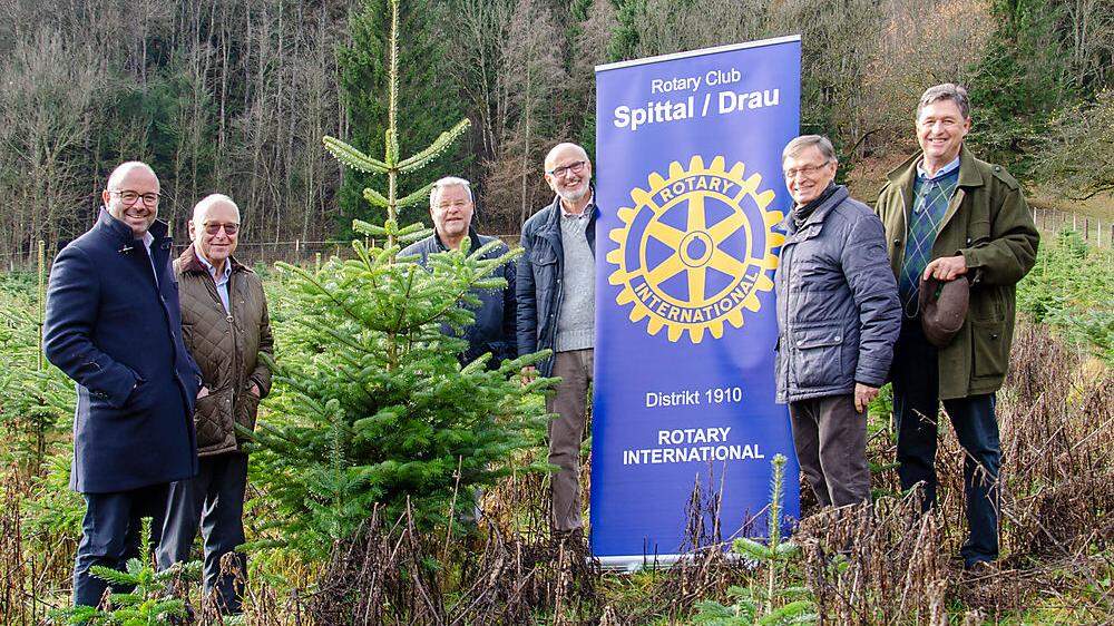 Hermann Regger, Wilfried Koller, Kurt Jöbstl, Gottfried Kindler, Werner Schaider und Andreas Isra bei der Christbaum-Jungkultur