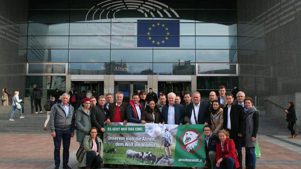 Landwirtschaftskammer fordert von EU, Kärnten als wolfsfreie Zone auszuweisen