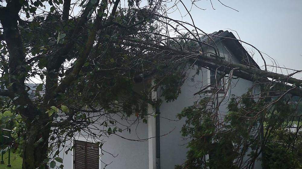 In Rosental musste die Feuerwehr ein Hausdach von einem umgestürzten Baum befreien