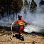 Seit Jahresbeginn wurden in Portugal 75.000 Hektar Land zerstört.