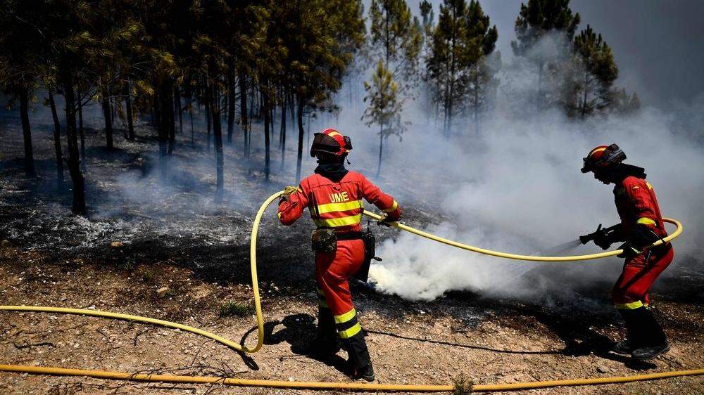 Seit Jahresbeginn wurden in Portugal 75.000 Hektar Land zerstört.