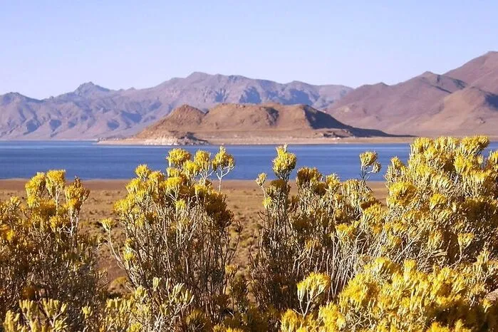 Vor etwa 15.000 Jahren bedeckte ein riesiger Gletschersee, der Lake Lahontan, einen großen Teil Nevadas einschließlich den Black Rock Desert. Heute ist nur noch der Pyramid Lake davon übrig, der aber immer noch größer als der bekannte Lake Tahoe ist. Seinen Namen verdankt der See einer Pyramidenförmigen Felsformation mitten im Wasser. Ursprünglich lebten hier die Paiute Indianer, noch heute sind der See und die umliegenden Gebiete Stammesland. Wandern, Zelten, Bootsausflüge, gemütliche Strandtage und Tiere beobachten gehören zu den beliebtesten Aktivitäten. Anaho Island ist schließlich das zweitgrößte Nistgebiet amerikanischer Pelikane in den USA. Natürlich zieht es auch die Angler an den See, der ein erstklassiges Fischrevier ist. Der geschützte Cui’ui und die Lahontan Cutthroat Trout sind in diesen Gewässern beheimatet.