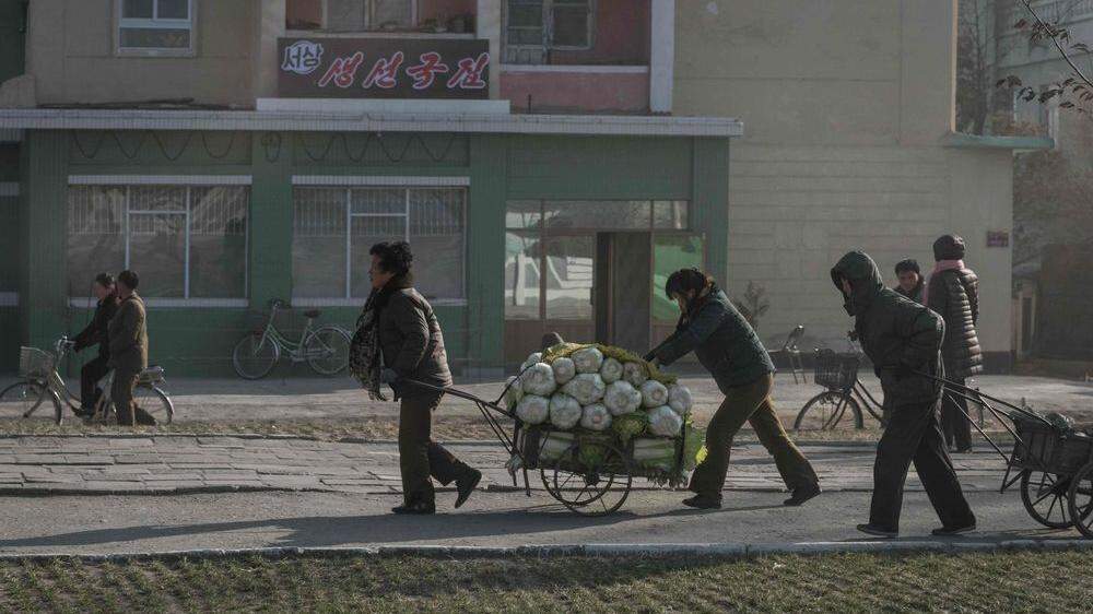 Schlechteste Ernte seit zehn Jahren in Nordkorea