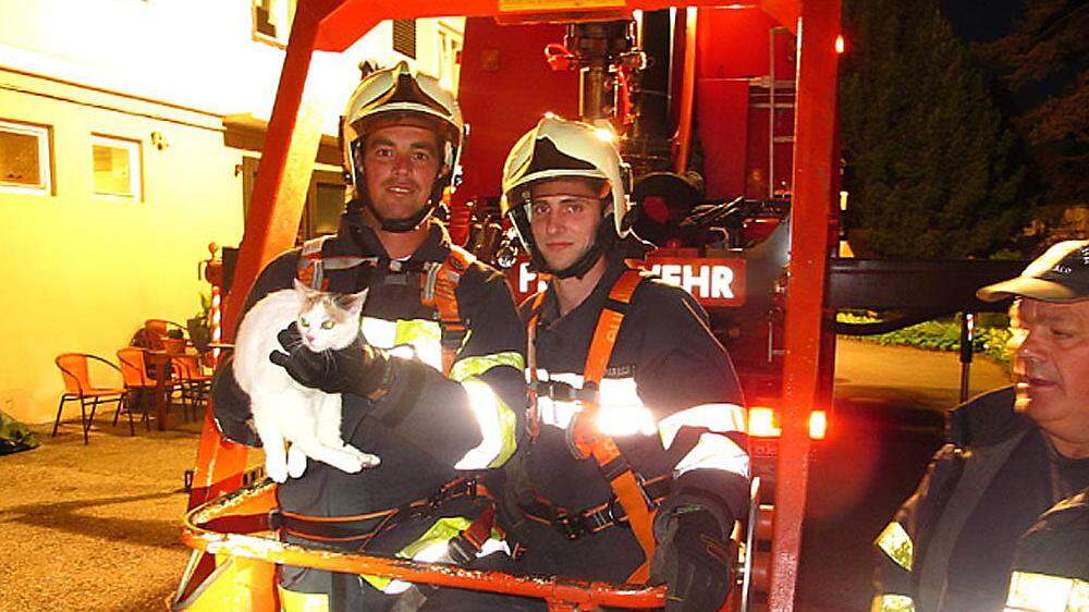 Die Feuerwehrleute konnten die Katze vom Dach retten