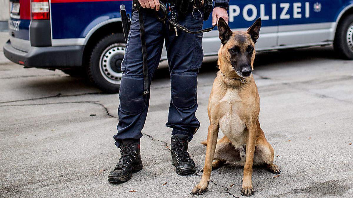 Polizeihund durchsuchte Einkaufszentrum