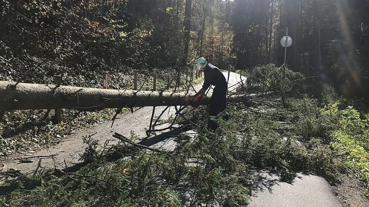 Die Feuerwehr musste die Straße von Bäumen befreien
