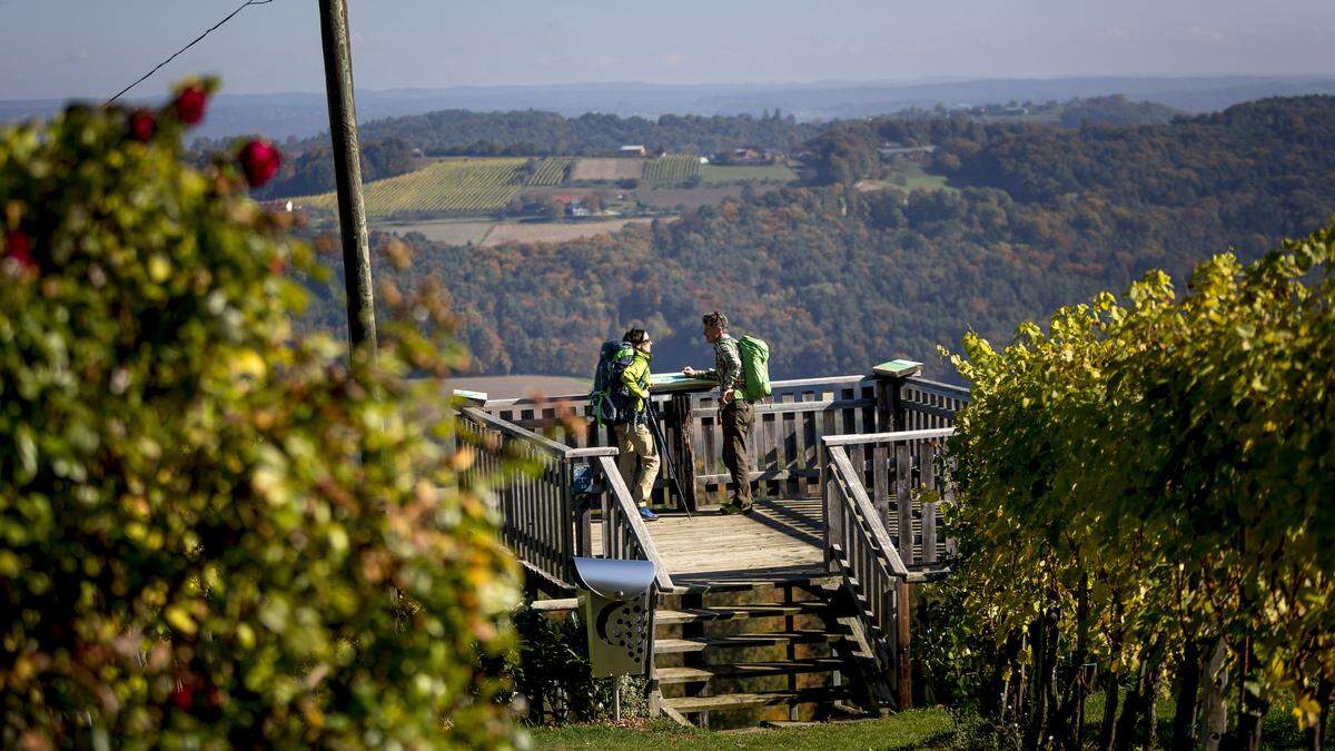 Auf aussichtsreichen Plattformen können Wanderer am Traminerweg den Blick bis nach Slowenien schweifen lassen 