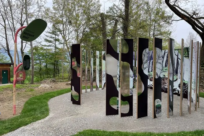 ... sowie die Installation Netzwerk Wald, die die Komplexität eines biologischen Netzwerks zeigen soll.