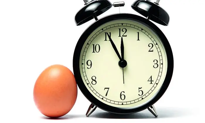 Studien zeigen: Wann wie viel gegessen wird hat einen Einfluss auf das Gewicht