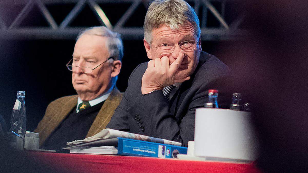 Die neu gewählte AfD-Spitze: Gauland und Meuthen