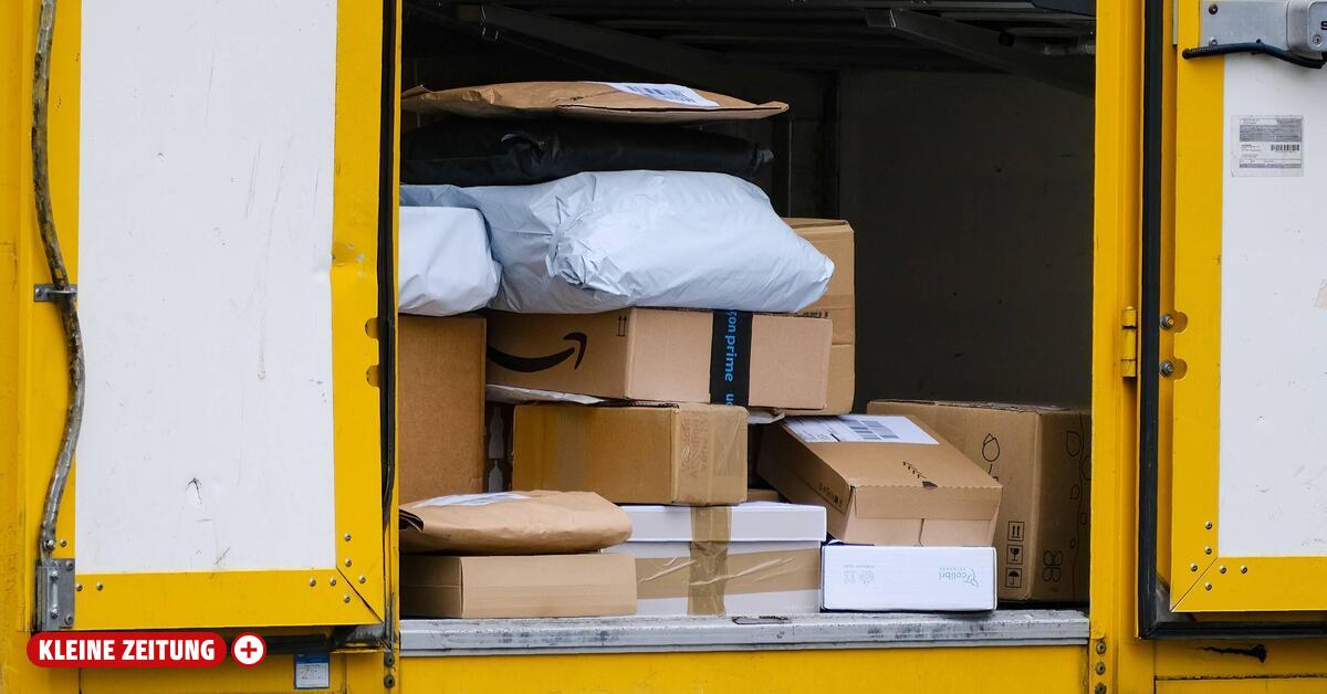 „Paketsteuer manövriert Österreich in die digitale Steinzeit“