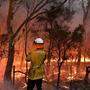 Buschfeuer haben Teile Australiens weiter fest in der Hand 