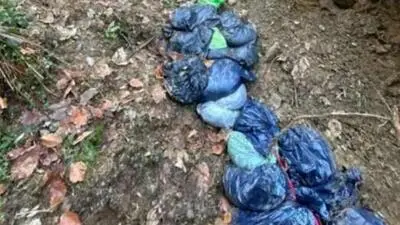 In einem Wald bei Arriach wurde der Müll illegal entsorgt