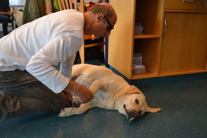 „Es geht dabei um Entspannung, alternative Beschäftigung, aber auch um die Gesundheit des Hundes“, erklärt Karl Weissenbacher, Organisator des Seminars und Leiter der Prüf- und Koordinierungsstelle für tierschutzqualifizierte Hundetrainer beim Messerli Institut.