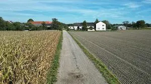 Auf diesem Feldweg kam es zu dem Unglück