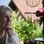 Heil und Unheil saßen an einem Tisch zur Sommerfrische: Barbara Frischmuth 