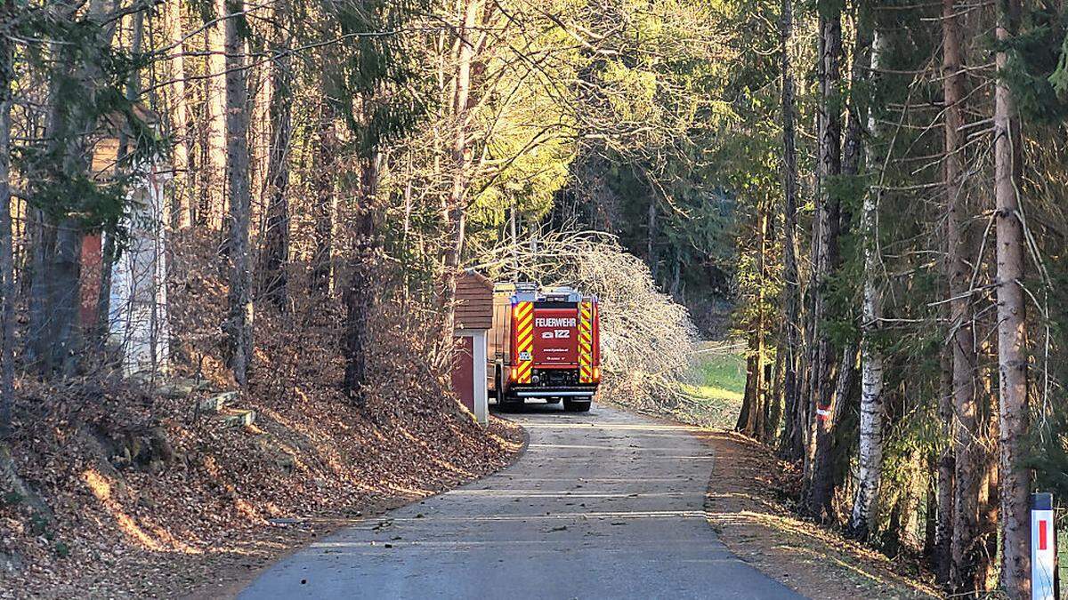 Zahlreiche Unwettereinsätze wegen Sturmböen im Bezirk