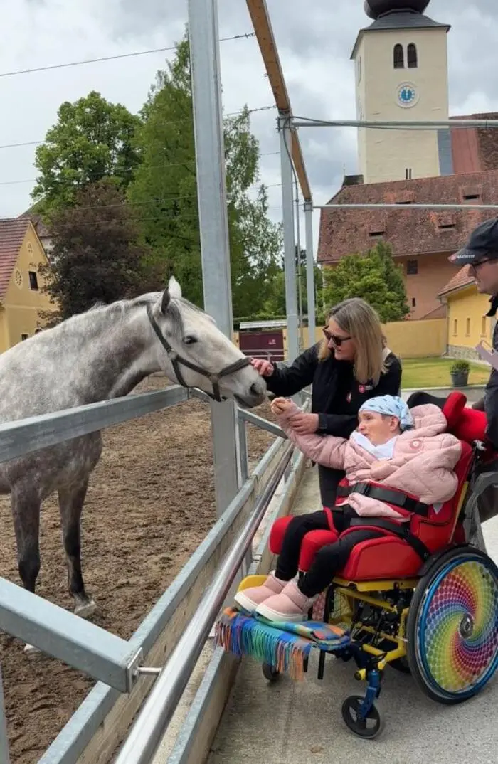Berührende Begegnung am Lipizzanergestüt Piber: Melli, Andrea Rauch von den Maltesern und ein neugieriger Gestütsbewohner