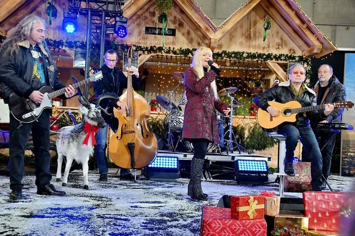 ... Corry Gass &amp; the Wild Dogs ...