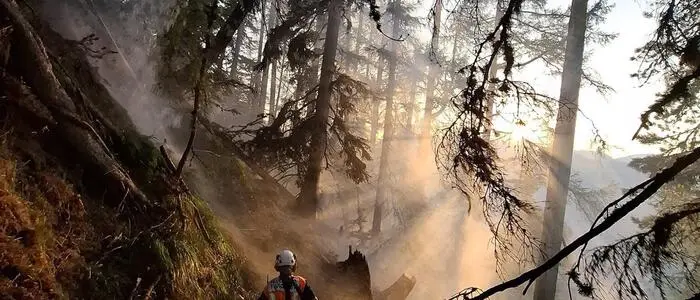 Feuerwehren kämpfen seit den Morgenstunden gegen das Feuer