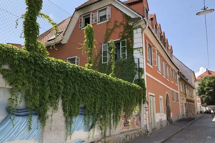 Eine grüne Mauer in der Dominikanergasse.