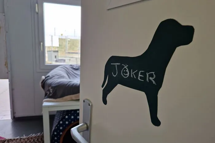 Insgesamt hat das Heim Kapazitäten für 30 Hunde (wenn sie sozialisiert sind) und 130 Katzen.