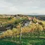 Ein Juwel, das südsteirische Weinland