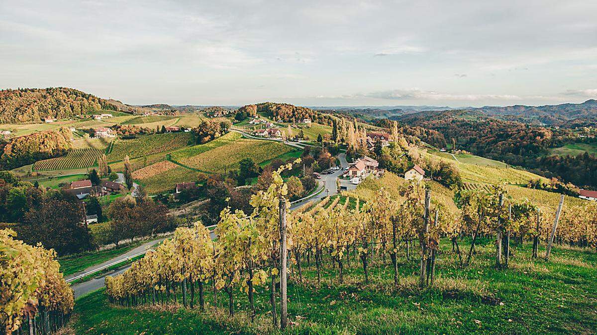 Ein Juwel, das südsteirische Weinland