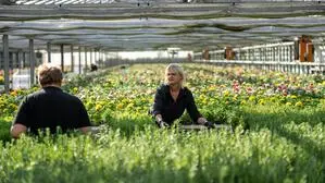 Zwei Frauen stehen zwischen Pflanzentischen, auf denen grüne Jungpflanzen und Blumen stehen, das Glashaus streckt sich weit in den Hintergrund, die Sonne lässt Schatten spielen