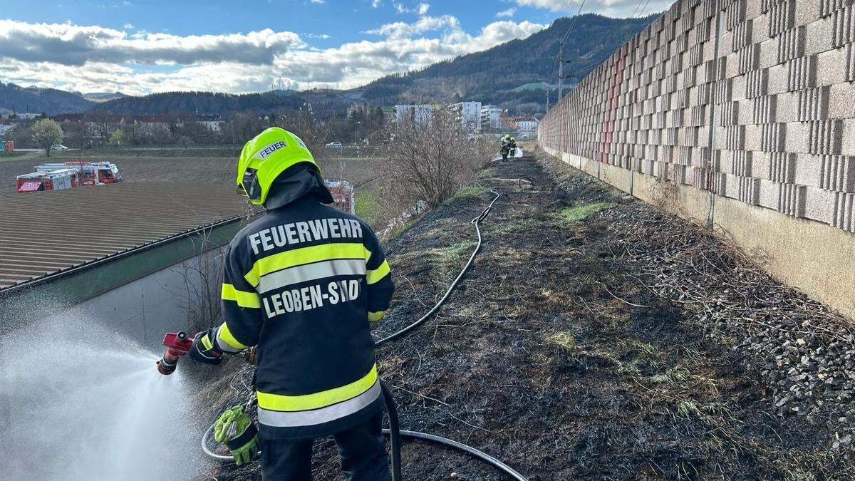 Eine Fläche von 650 Quadratmeter außerhalb des direkten Gleisbereichs war betroffen