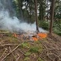 Das Feuer wurde zum Glück frühzeitig entdeckt
