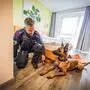 Ein eingespieltes Team: Diensthundeführer Andreas und Datenträgerspürhund „Duke“ 
