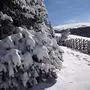 Schnee auf der Saualm in Kärnten | Die Saualm war das Ziel der beiden Wanderer (Symbolfoto)