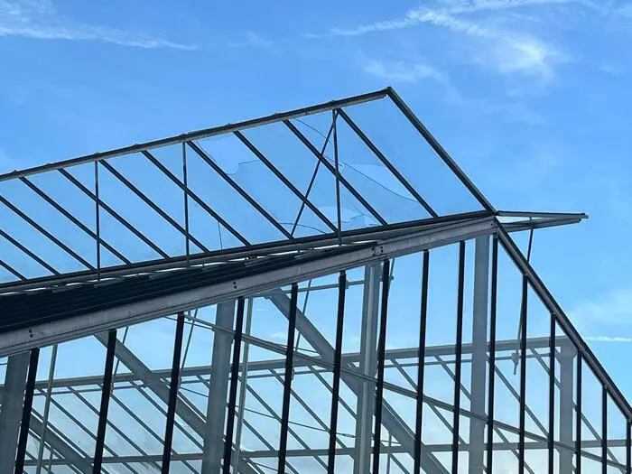 Die Glasscheiben der Gewächshäuser wurden von den Hagelkörnern wie Geschosse durchschlagen