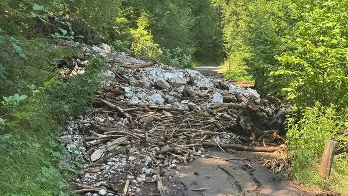 Bild nach dem Unwetter: Die gesperrte Pass-Stein-Landesstraße wird vom Straßendienst des Landes nach dem Murenabgang nicht geräumt