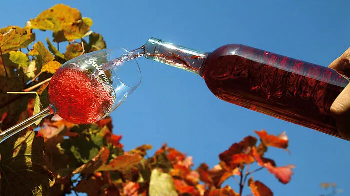 Weststeirischer Weinbauer ist im Visier der Ermittler.