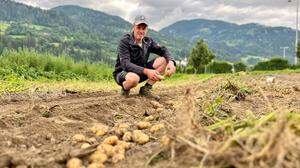 Einer der Osttiroler Erdäpfelbauern ist Peter Buchacher aus Dölsach