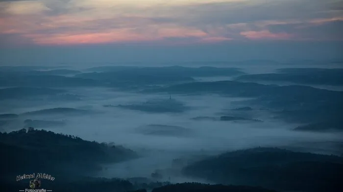 Ein Herbstbild wie aus dem Bilderbuch: Der Morgennebel, fotografiert von Helmut Müller.