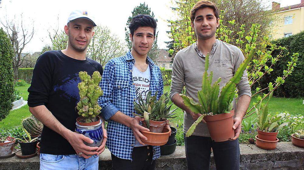 Fahad Al Farha, Hajikhalaf Hassan und Qusai Albajati (von links) mit den Kakteen, die der Dieb stehlen wollte