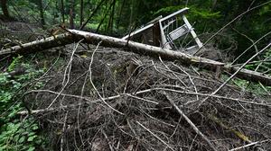 Der Unfall geschah beim Aufarbeiten eines Windwurfs